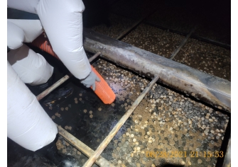 公用廠T-76346A清槽補板工程