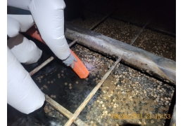 公用廠T-76346A清槽補板工程