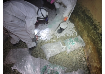 MMA廠R-2720觸媒篩選更換委託